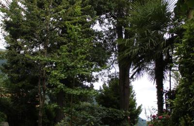 Mansão histórica à venda Faido, Ticino, Acesso