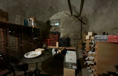 Mansão histórica à venda Faido, Ticino, Cantina vini