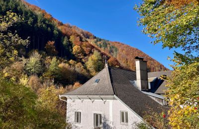 Mansão histórica à venda Waidhofen an der Ybbs, Baixa Áustria, Imagem 31/40