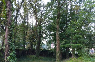 Parque histórico à venda Iłowa, Kolejowa 11, Lubuskie, Imagem 11/17