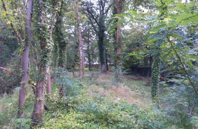 Parque histórico à venda Iłowa, Kolejowa 11, Lubuskie, Imagem 9/17