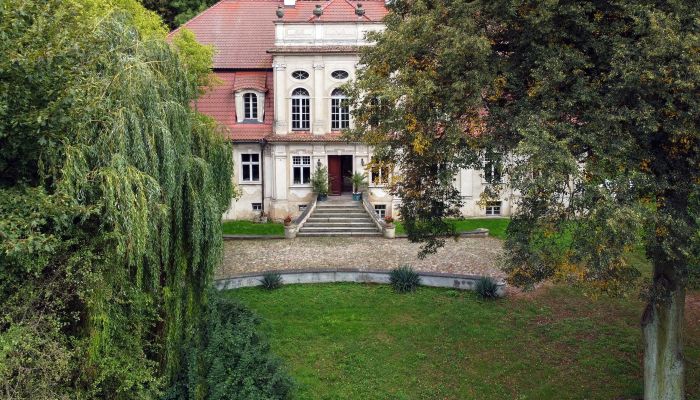 Casa senhorial à venda Popowo Stare, Wielkopolskie