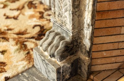 Casa senhorial à venda Nantes, País do Loire, Imagem 10/16