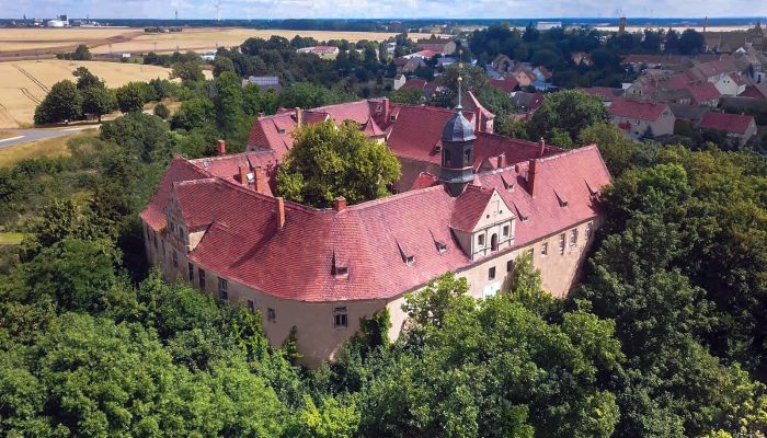 Palácio à venda Mühlberg/Elbe, Brandemburgo,  Alemanha
