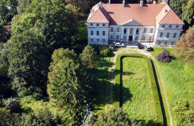 Palácio à venda Siedlec, Pałac w Siedlcu, Wielkopolskie, Vista de drone