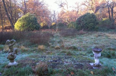 Palácio à venda Siedlec, Pałac w Siedlcu, Wielkopolskie, Jardim palaciano