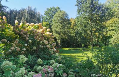 Moinho à venda Netvořice, okres Benešov, Imagem 16/21