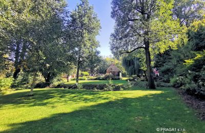 Moinho à venda Netvořice, okres Benešov, Imagem 2/21