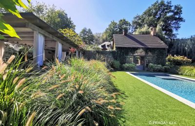 Moinho à venda Netvořice, okres Benešov, Imagem 3/21