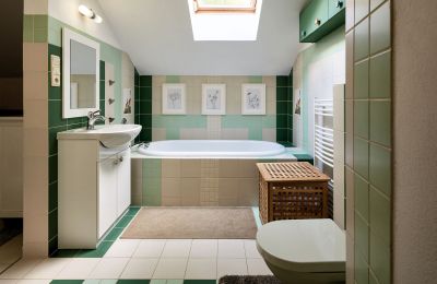 Moinho à venda Netvořice, okres Benešov, Imagem 11/21