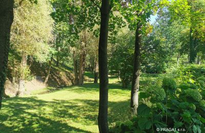 Moinho à venda Netvořice, okres Benešov, Imagem 21/21