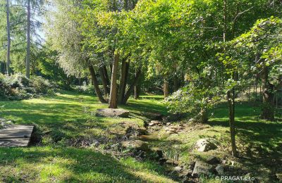 Moinho à venda Netvořice, okres Benešov, Imagem 15/21