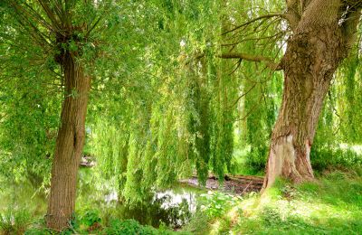 Moinho à venda 29451 Dannenberg, Baixa Saxônia, Imagem 17/20