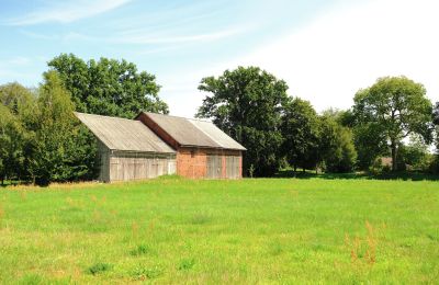 Moinho à venda 29451 Dannenberg, Baixa Saxônia, Die Scheune mit Baugenehmigung