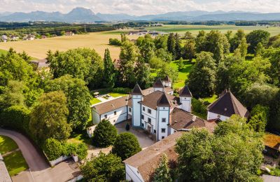 Palácio à venda 4693 Desselbrunn, Alta Áustria, Imagem 1/23