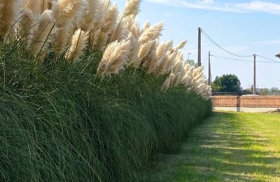 Mansão histórica à venda Paviole, cesare battisti 43, Véneto, Imagem 43/46