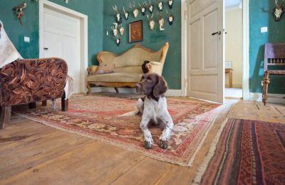 Casa senhorial à venda 19386 Kreien, Rosenstraße 32, Mecklemburgo-Pomerânia Ocidental, Área útil