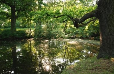 Palácio à venda Komorowice, Wrocławska 27, Dolnoslaskie, Imagem 15/27