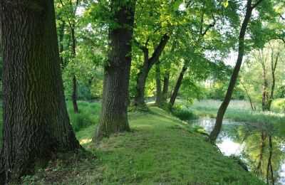 Palácio à venda Komorowice, Wrocławska 27, Dolnoslaskie, Imagem 19/27