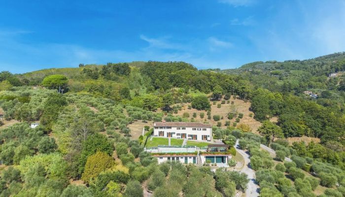 Casa de campo toscana em localização panorâmica com olival e piscina perto de Montecatini Terme