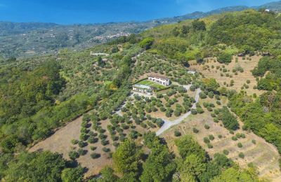 Imóvel Histórico à venda Montecatini Terme, Toscana, Imagem 3/20