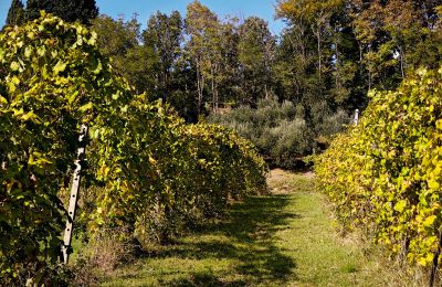 Casa de campo à venda 40060 Dozza, Ferraruola  1, Emília-Romanha, Imagem 18/26