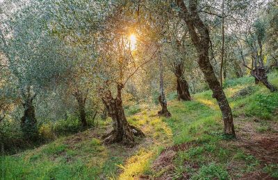 Mansão histórica à venda Loro Ciuffenna, Toscana, Imagem 4/35
