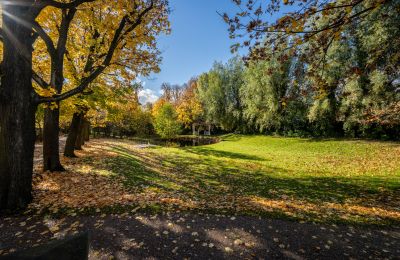 Palácio à venda Trnová, okres Praha-západ, Imagem 38/53