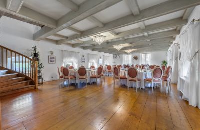 Palácio à venda Trnová, okres Praha-západ, Grande salão