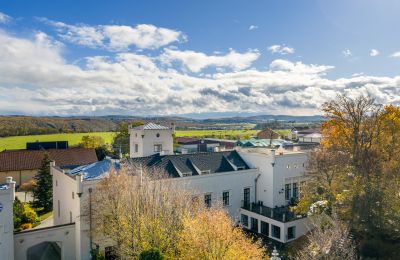 Palácio à venda Trnová, okres Praha-západ, Imagem 28/53