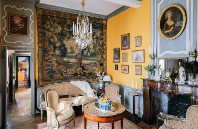 Casa senhorial à venda Pau, Nova Aquitânia, Imagem 3/10