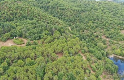 Casa de campo à venda 06060 Pian di Marte, Úmbria, Imagem 14/14