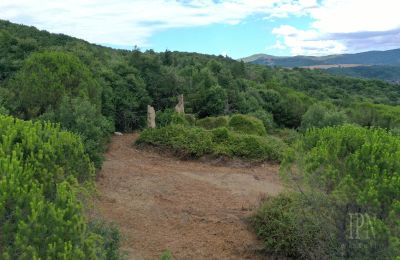 Casa de campo à venda 06060 Pian di Marte, Úmbria, Imagem 2/14