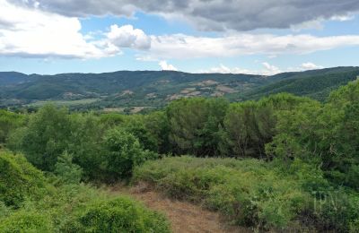 Casa de campo à venda 06060 Pian di Marte, Úmbria, Imagem 7/14