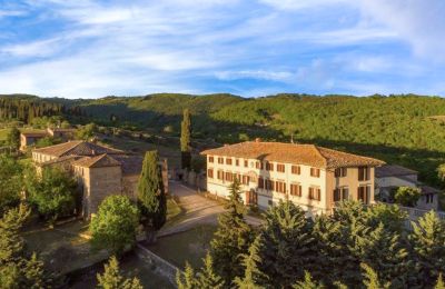 Casa senhorial à venda Castellina in Chianti, Toscana, Imagem 28/29