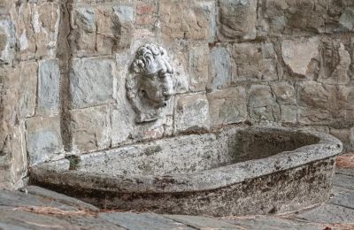 Casa senhorial à venda Castellina in Chianti, Toscana, Imagem 8/29