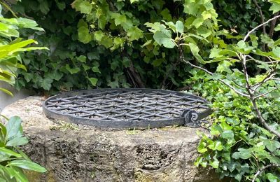 Palácio à venda 84375 Kirchdorf am Inn, Hofmarkstraße 2, Baviera, Schlossbrunnen