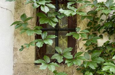 Palácio à venda 84375 Kirchdorf am Inn, Hofmarkstraße 2, Baviera, eines von 4 Tuffsteinfenstern im EG