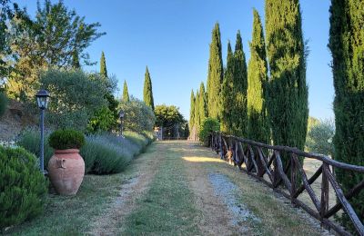 Casa de campo à venda Anghiari, Toscana, Imagem 16/41