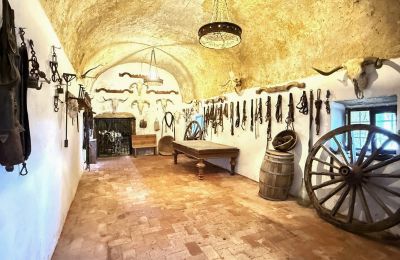 Castelo à venda San Vicente de Alcántara, Estremadura, Imagem 18/36