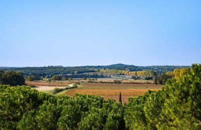 Castelo à venda Pouzilhac, Occitânia, Imagem 43/43