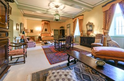 Castelo à venda Pouzilhac, Occitânia, Imagem 16/43