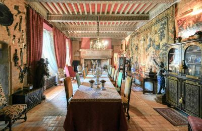 Castelo à venda Pouzilhac, Occitânia, Imagem 4/43