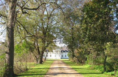 Casa senhorial à venda Mołomotki-Dwór, Mazowieckie, Imagem 6/16