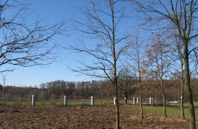 Casa senhorial à venda Mołomotki-Dwór, Mazowieckie, ogrodzenie