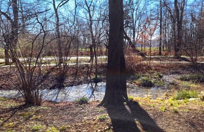 Palácio à venda Bystrzyca Dolna, Dolnoslaskie, Imagem 9/9