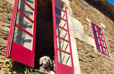 Casa senhorial à venda Galiza, Imagem 10/48