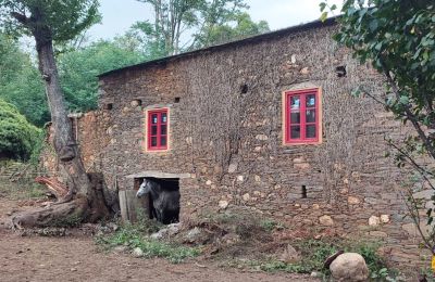 Casa senhorial à venda Galiza, Imagem 11/48