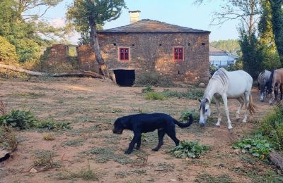 Casa senhorial à venda Galiza, Imagem 12/48