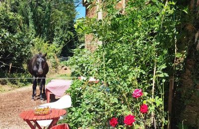 Casa senhorial à venda Galiza, Imagem 28/48